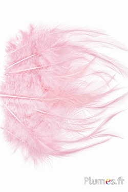 Haan - 8-12 cm -   roze beige